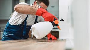 Best Real Estate Pest Inspections  in Burbank, WA